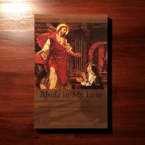 Abide in My Love - Ascetic and Pastoral Reflections for Young Priests